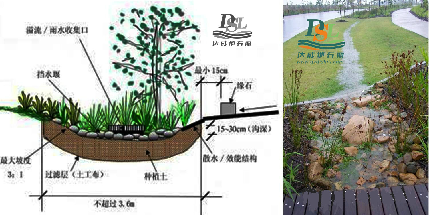 海綿城市建設(shè) 道路雨水收集